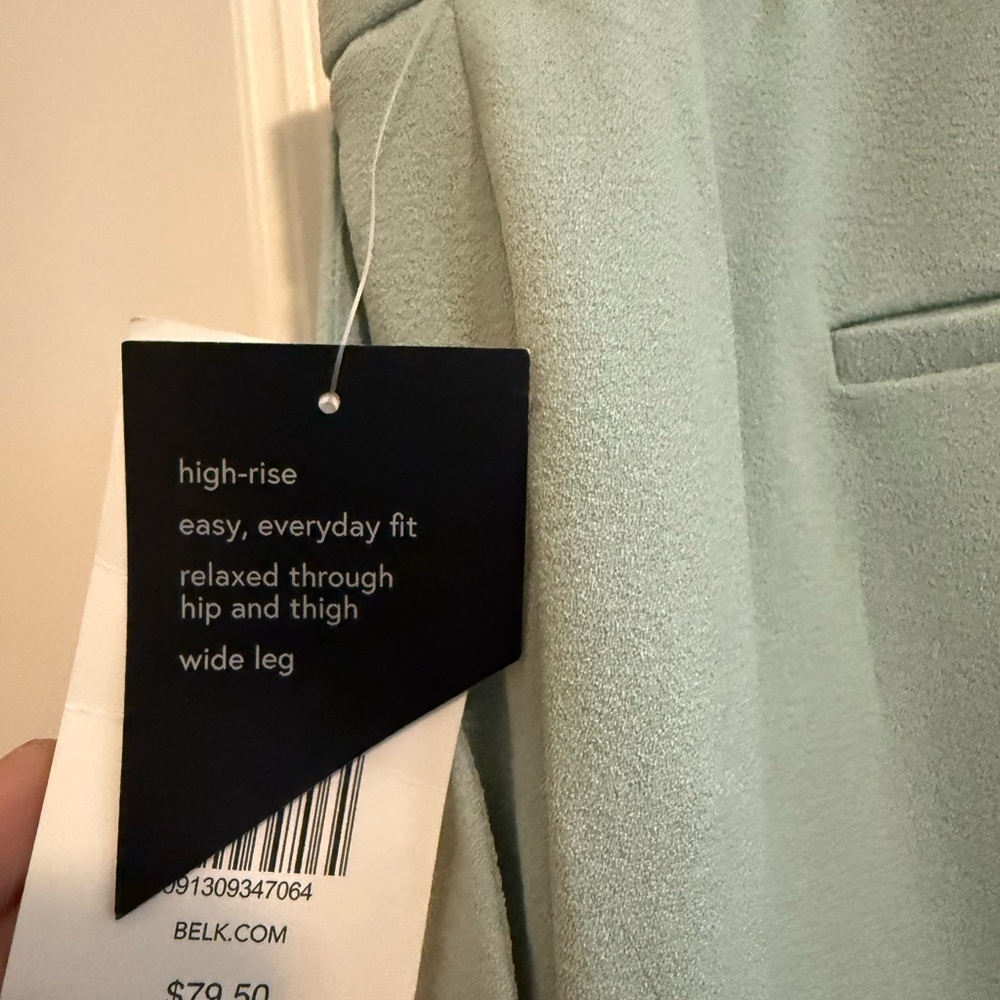 Elegant Women's Light Green Pants - Picture 4 of 5